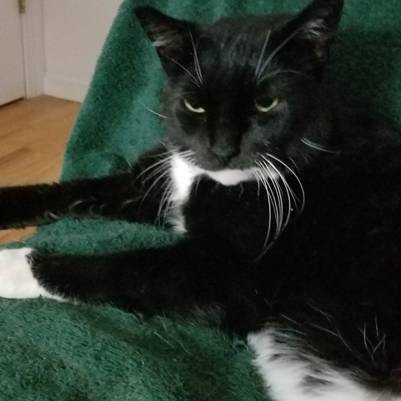 Meet your Posher, Susan - Picture 4 of 4